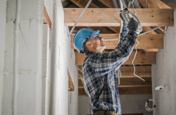 Best Electric Panel Repair  in Glenwood City, WI